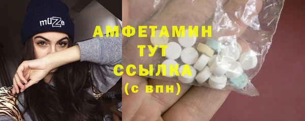 шишки Осинники